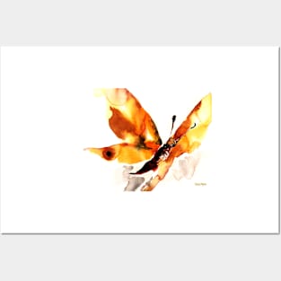 Butterfly Posters and Art